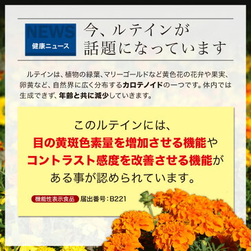 ルテイン サプリメント 機能性表示食品 (60粒×24個セット・約720日分) 【 送料無料 (宅配便) 】 機能性表示食品ルテイン ユウキ製薬 DHA ビタミンE ビタミンB群 βカロテン ビルベリー マリーゴールド色素 ヘマトコッカス藻 当店最安値【ラッキーシール対応】