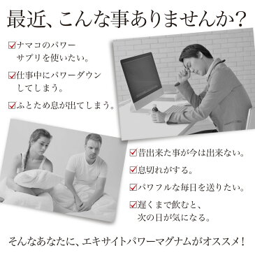 【訳あり】 エキサイトパワーマグナムZ 210粒×12個セット 約312〜420日分 賞味期限2020年6月のみ 送料無料 宅配便 | なまこ 国産 ナマコ 海参 マカ トンカットアリ すっぽん まむし 蝮 亜鉛 ニンニク にんにく サプリ サプリメント 粒 男性 女性 アウトレット まとめ買い