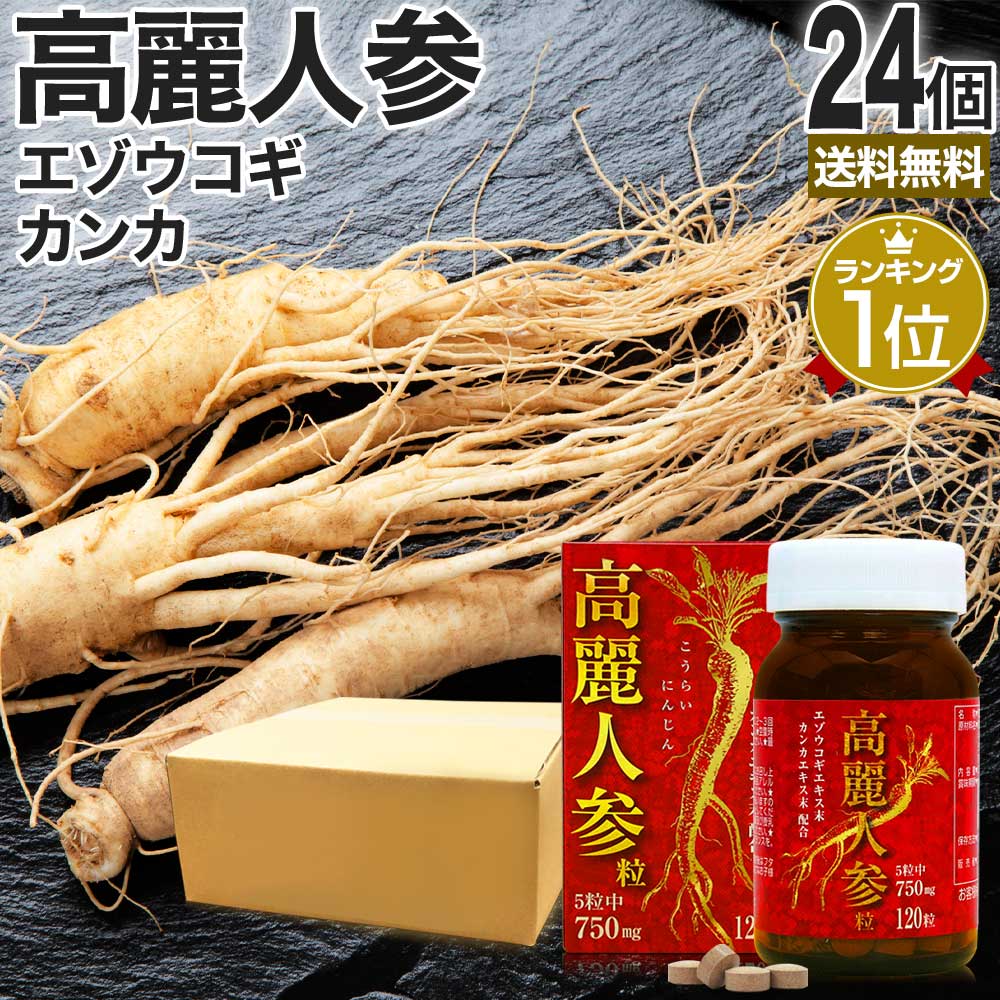 高麗人参粒 120粒×24個セット 約576～720日分 送料無料 宅配便 | 高麗人参 高麗人参サ ...