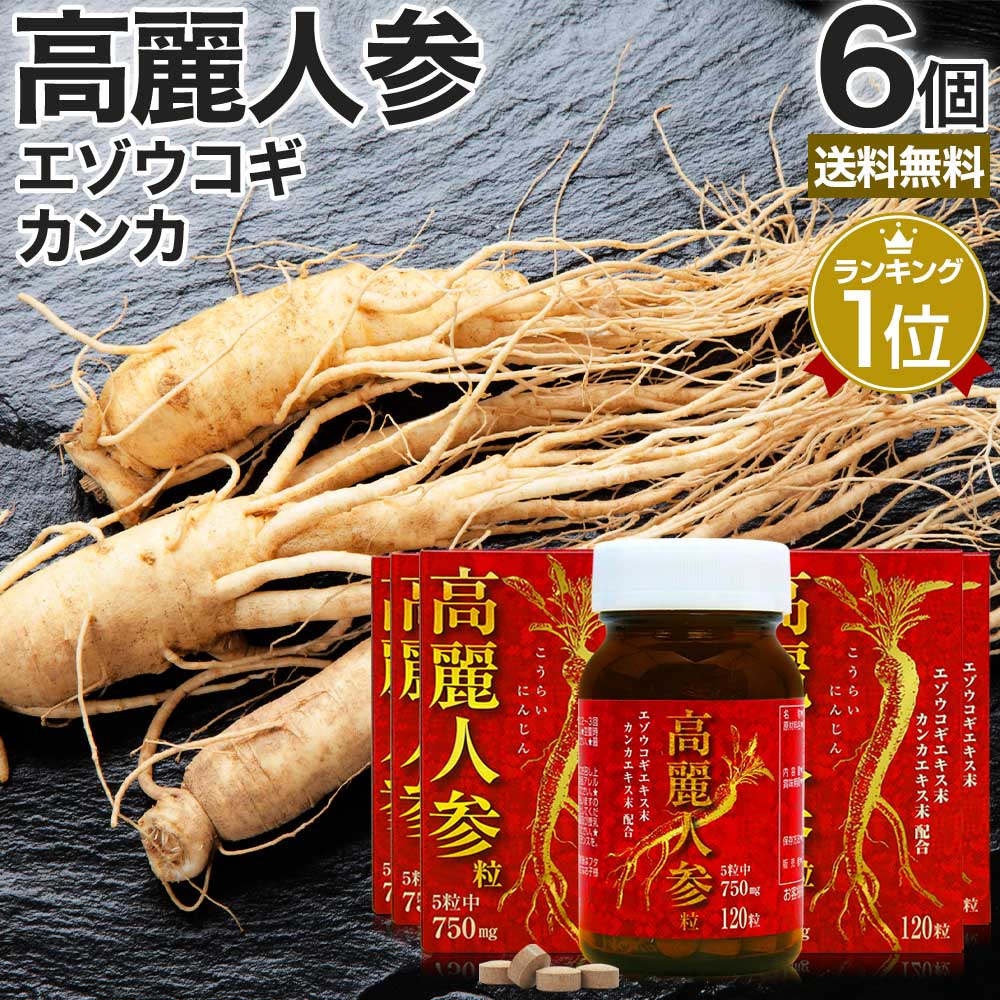 高麗人参粒 120粒×6個セット 約144～180日分 送料無料 宅配便 | 高麗人参 高麗人参サプリ にんじん 高麗人参エキス 高麗人参濃縮液 朝鮮人参 オタネニンジン エゾウコギ ウコギ シベリア人参 エキス カンカ 砂漠人参 サプリ 男性 女性 サポート 朝鮮人参サプリ まとめ買い 1