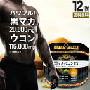 黒マカ＋ウコンEX 200粒×12個セット 約240～300日分 送料無料 宅配便 | マカ maka マカサプリ 黒マカ 秋ウコン ウコン うこん クルクミン サプリ サプリメント 男性 女性 マカサプリメント ウコンサプリ 健康 健康食品 サポート 美容 ウコン粒 エキス 粒 まとめ買い