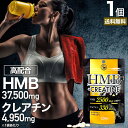 HMB+クレアチン 150粒 約15〜30日分 送料無料 メール便 | HMB HMBサプリ HMBサプリメント hmbカルシウム クレアチン クレアチンサプリメント シトルリン カルニチン Lカルニチン サプリ サプリメント l-カルニチン 必須アミノ酸 元気 粒 タブレット 男性 女性 健康 健康食品 その1