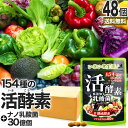 活酵素＋nano乳酸菌 60球×48個セット 約960～1440日分 送料無料 宅配便 | 酵素 ナノ 乳酸菌 乳酸菌サプリメント 乳酸菌サプリ ビール酵母 食物繊維 菌活 腸活 サプリ サプリメント 粒 タブレット まとめ買い