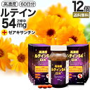 高濃度ルテイン54DX 120球×12個セット 約720日分 送料無料 宅配便 | ルテイン ゼアキサンチン マリーゴールド カロテノイド 緑黄色野菜 サプリ ...