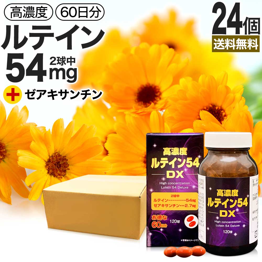 高濃度ルテイン54DX 120球×24個セット 約1440日分 送料無料 宅配便 | ルテイン ゼアキサンチン マリーゴールド カロテノイド 緑黄色野菜 サプリ...