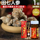 田七人参 120粒 約24〜30日分 送料無料 宅配便 | 田七人参 田七人参サプリメント 田七人参サプリ でんしちにんじん 伝七人参 ニンジンサプリ ニンジン...