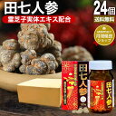 田七人参 120粒×24個セット 約576〜720日分 送料無料 宅配便 | 田七人参 田七人参サプリメント 田七人参サプリ でんしちにんじん 伝七人参 ニンジ...