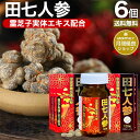 田七人参 120粒×6個セット 約144〜180日分 送料無料 宅配便 | 田七人参 田七人参サプリメント 田七人参サプリ でんしちにんじん 伝七人参 ニンジン...