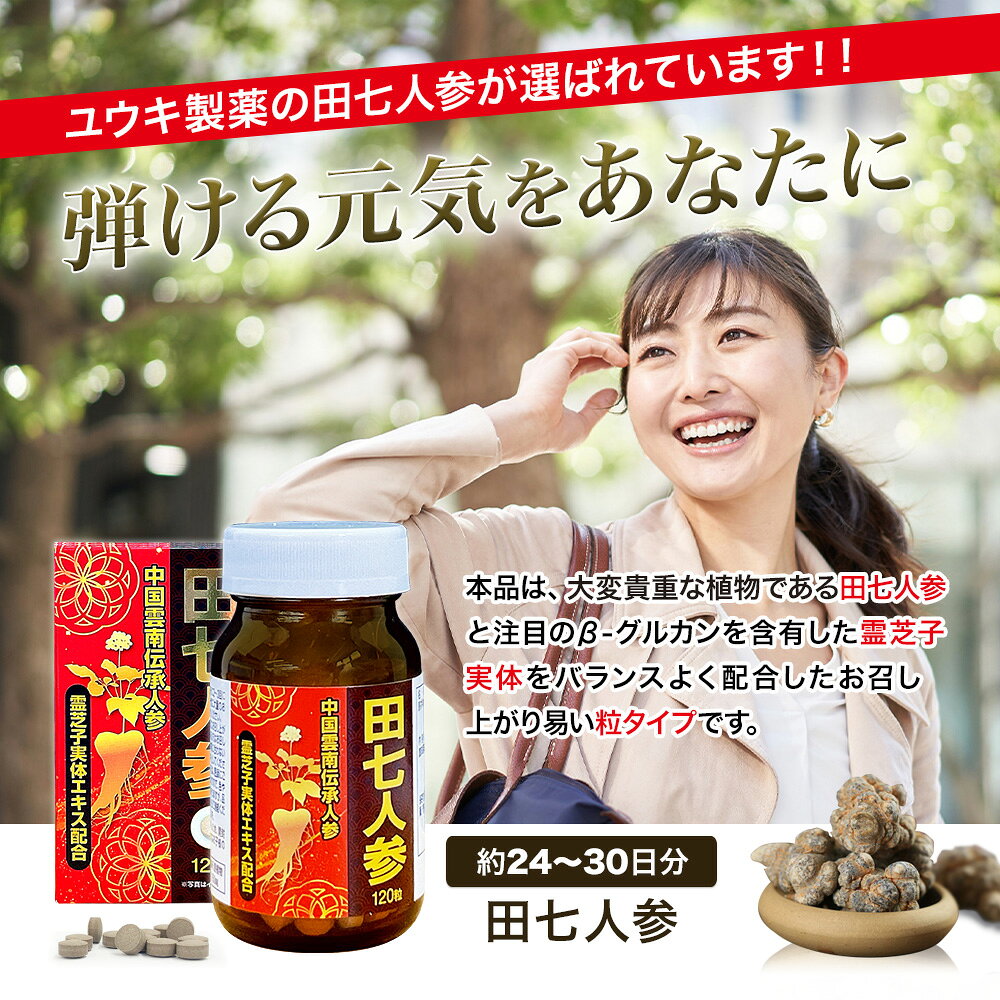 田七人参 120粒 約24〜30日分 送料無料 宅配便 | 田七人参 田七人参サプリメント ...