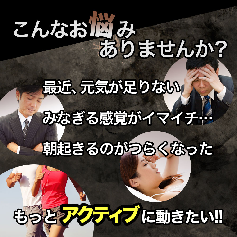 アルギニン+シトルリン 120粒×48個セット 約720〜1440日分 送料無料 宅配便 | 亜鉛...