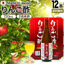 りんご酢黒酢入り 720ml×12本セット 送料無料 宅配便 りんご酢 飲む酢 飲むお酢 黒酢 米 黒 酢 黒酢ドリンク ダイエット りんごジュース りんご黒酢 黒酢リンゴジュース りんご お酢ドリンク 飲む黒酢 健康酢 美容 サポート リンゴ 飲料 健康飲料 健康ドリンク まとめ買い