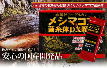 【訳あり】 メシマコブ菌糸体DX顆粒 1.5g×60包 約30日分 賞味期限2021年11月以降 送料無料 宅配便 | メシマコブ メシマコブサプリ メシマコブサプリメント βグルカン Bグルカン 菌糸体 エキス サプリ サプリメント 粉末 顆粒 パウダー 分包 男性 女性 アウトレット