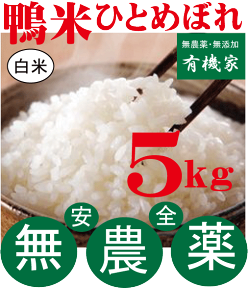 新米 無農薬米・秘蔵米山形・佐藤さんの鴨米ひとめぼれ完全無農薬白米5kg★無農薬米