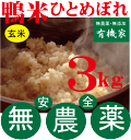 2025年産新米 合鴨農法米・鴨米ひとめぼれ(玄米)3kg・10月上旬出荷開始★完全無農薬栽培★合鴨農法米★国内産100%(山形県)