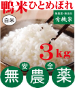 2025年産新米 無農薬米秘蔵米山形・佐藤さんの鴨米ひとめぼれ完全無農薬白米3kg・10月上旬出荷開始★無農薬米