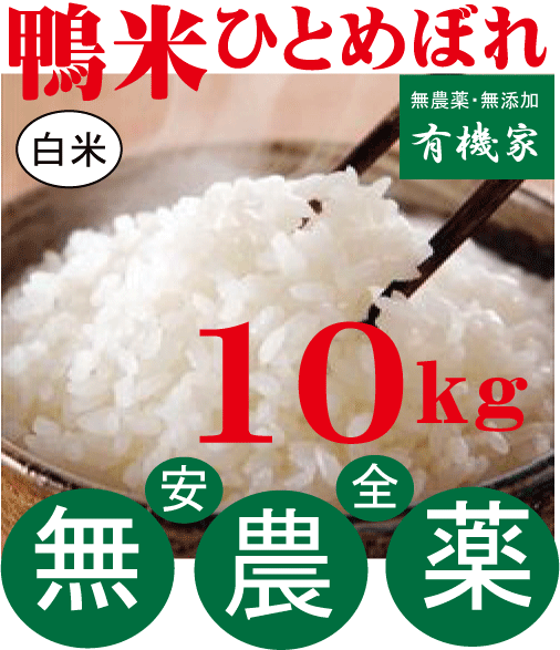 新米 合鴨農法米・鴨米ひとめぼれ（白米）10kg★完全無農薬栽培★合鴨農法米★国内産100%（山形県）