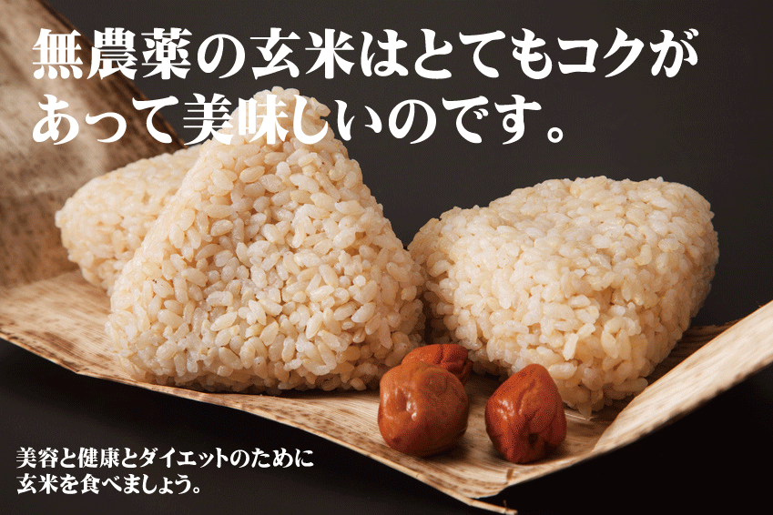 国内産有機玄米2kg★国産100%★有機JAS(無農薬・無添加)
