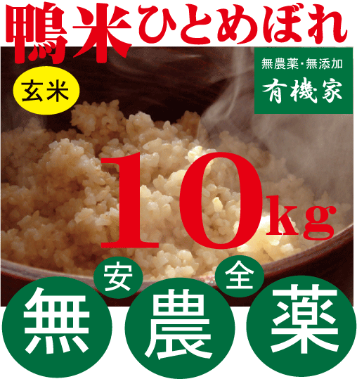 【新米】合鴨農法米・佐藤さんの鴨米ひとめぼれ（玄米）10kg★2018年産★完全無農薬玄米★国内産100%（山形県産）★山形県全域放射能検査はクリア