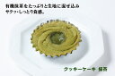 無添加クッキーケーキ・抹茶35g×2個セット★有機抹茶をたっぷりと生地に混ぜ込みました。サクッ・しっとり、軽いケーキのような食感でお茶請けにもぴったりのソフトタ...