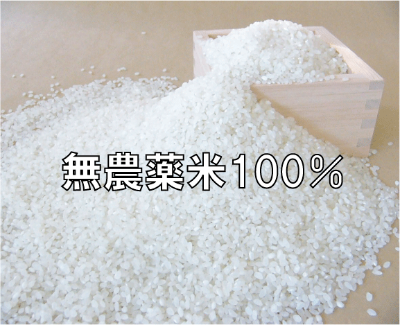 【送料無料】イル・ド・フランス　カマンベール　125g×4個セット【冷蔵】