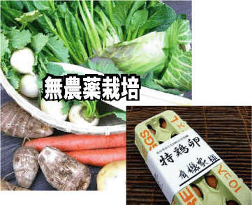 毎週お届け【全国送料無料】おたのしみ旬野菜と特鶏卵10個セット3400円セット×5週分