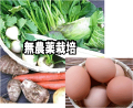 毎週お届け【全国送料無料】おたのしみ旬野菜と特鶏卵6個セット2924円セット×5週分