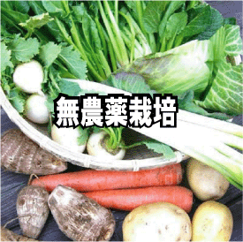 【送料無料】無農薬・無化学肥料栽培 おたのしみ野菜2500円セット