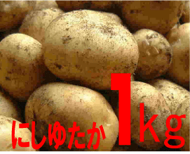 無農薬じゃがいも・にしゆたか　1kg ・芽止め処理無し★国産じゃがいも★生産地：のサムネイル