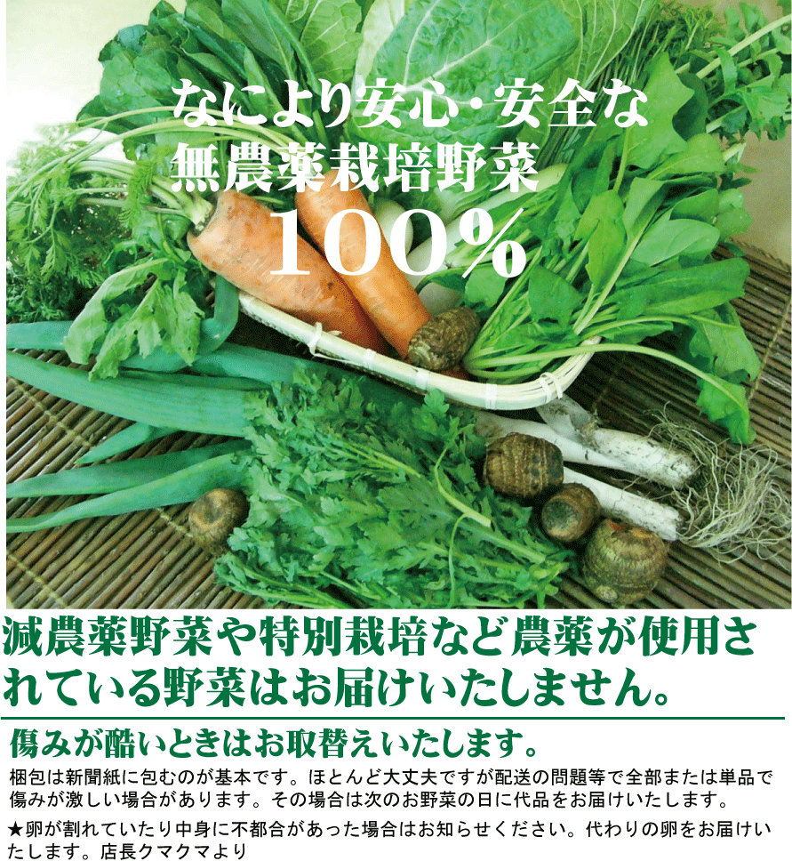 無農薬ぶなしめじ信州ぶなしめじ　200g×2パック★長野産（無農薬・無添加）★国内の木材からのおが粉と米ぬか床で栽培