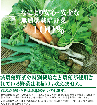 旬の無農薬100％野菜セット3518円（送料無料・月、金曜日発送）5月より冷蔵便になります。★有機家の長年の人気野菜セット★卵同梱セットや牛乳同梱セットも有ります。