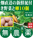 旬の無農薬100％野菜セットと特鶏卵10個セット（送料無料・火、金曜日発送）★有機家の長年の人気野菜セット