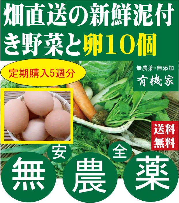 定期購入毎週お届け・旬の無農薬100%野菜セット2000円と朝どり特鶏卵10個×5週分(送料無料・火、金曜日発送)★送料無料