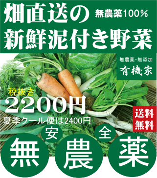 旬の無農薬100%野菜セット2200円(送料無料・月、金曜日発送)5月より冷蔵便になります。★有機家の長年の人気野菜セット★卵同梱セットや牛乳同梱セットも有ります。