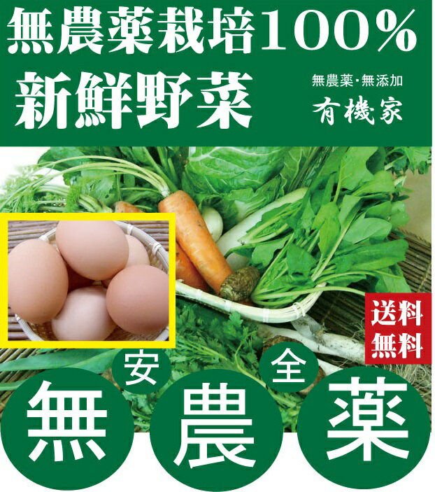 旬の無農薬100％野菜セットと平飼い卵10個セット （送料無料・月、金曜日発送） ★有機家の長年の人気野..