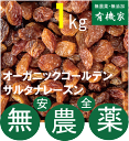 無添加ドライレーズン☆ゴールデン・サルタナレーズン1Kg(業務用)★有機JAS(無農薬・無添加)★トルコ産★ノンオイル★送料無料