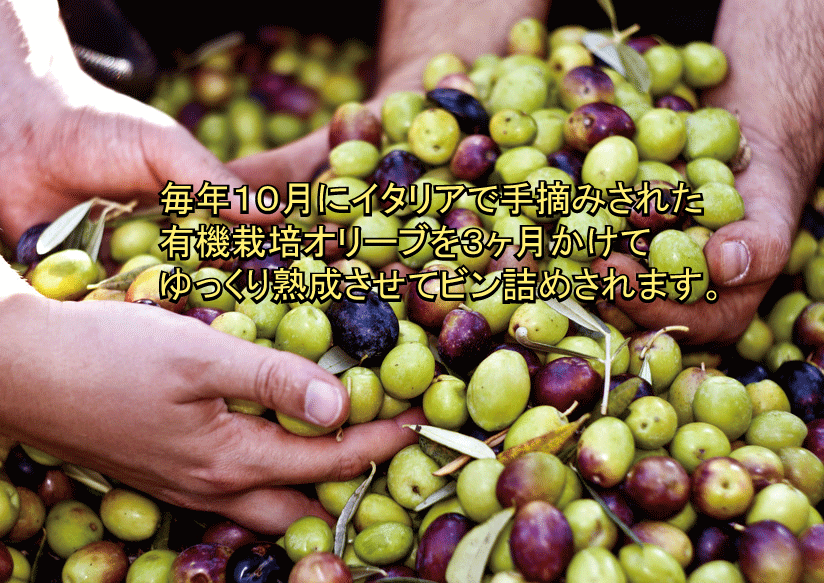 ���餷�ܤ���̣��ǻ���ѥ���θ����������ꥢ��������Х�ʲȤΥ�����祵��ˡ������꡼�֥�����500ml��ͭ��JAS��̵������̵ź�áˡ�ͭ�����꡼�֥�����