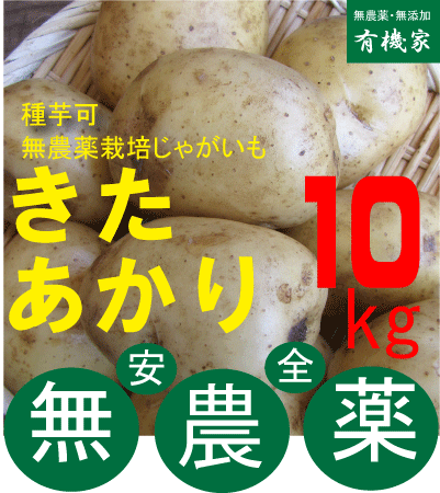 記事番号:33287/アイテムID:368355の画像