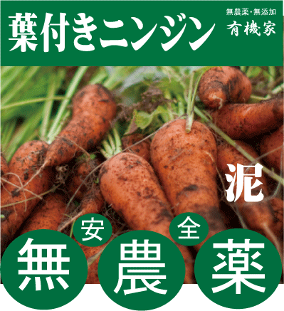 有機　葉付きニンジン（泥付き）300g（3～5本入り）×2パック千葉県産★有機JAS認証（無農薬・無添加）のサムネイル