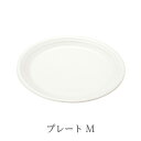 安全な無鉛食器 プレート M サイズ：W200×H22(mm) no_412 (消費税10 )