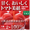 江本自然農園 ジュース ギフト 有機家の無農薬トマトジュース100%大瓶（1000ml×2本）★食塩無添加★無農薬・無添加★ストレートタイプ★無添加トマトジュース★ギフト包装ご希望の場合は必ず「ギフト包装」とご指示ください。