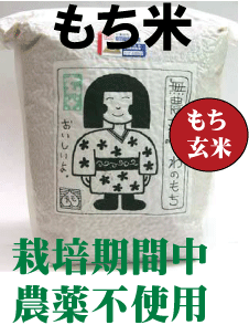 新米 2023年産でわのもち　無農薬もち玄米・栽培期間中農薬不使用・太ももの会の山形庄内特産「でわのもち」もち玄米…