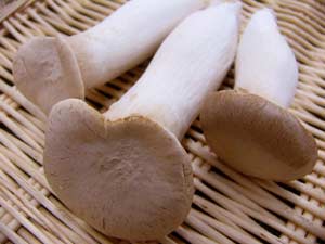 無農薬エリンギ 100g×2パック★鳥取県産★無農薬・無添加