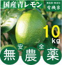 国産無農薬青レモン10kg★有機JAS規定を守って栽培★奈良産★10kgは約70個〜80個です。【注】多少黄色くなっています。