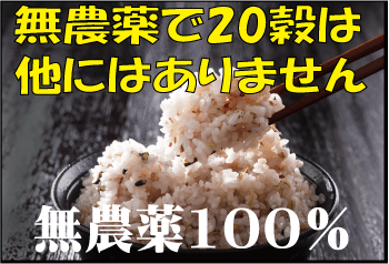 無農薬100％・20雑穀米　450g★送料無料（ネコポス便）★無化学肥料・遺伝子組み換えなし　無漂白　無着色　保存料使用なし★20コクマイ★二十雑穀米★有機家