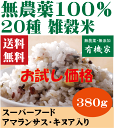 無農薬雑穀米【お試し価格】・20雑穀米300g★送料無料（ネコポス便）