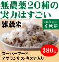 無農薬100％・20雑穀米　380g★送料無料（ネコポス便）★無化学肥料・遺伝子組み換えなし　無漂白　無着色　保存料使用なし★20コクマイ★二十雑穀米★有機家