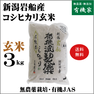 新米 2023年産　新潟岩船産コシヒカリ無農薬玄米3kg【送料無料】★新米 2023年産★三栄農産★32年間間無農薬★頑固おやじの有機JAS玄米★