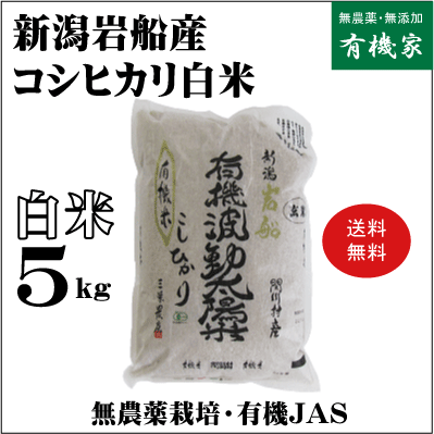 2025年産・新潟岩船産コシヒカリ無農薬『白米』5kg【送料無料】10月中旬発送開始★新米 2025年産★三栄農..