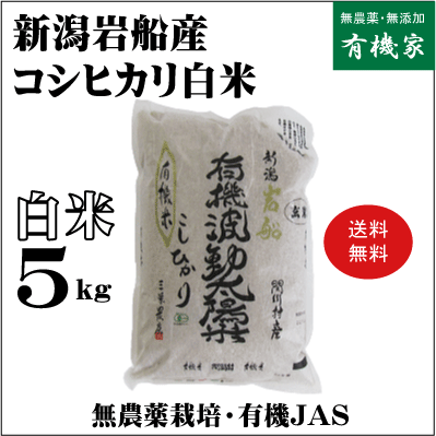 新米 2023年産・新潟岩船産コシヒカリ無農薬白米5kg【送料無料】★新米 2023年産★三栄農産★32年間無農薬★頑固おやじの有機JAS白米