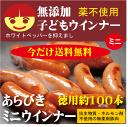 恵那峡フレッシュハムAセット G-ENA-A1830 中部食産 ポークウィンナー